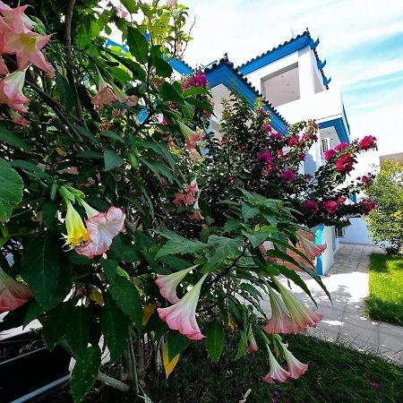Sicci Villa Near The Airport & Sea Αθήνα Εξωτερικό φωτογραφία